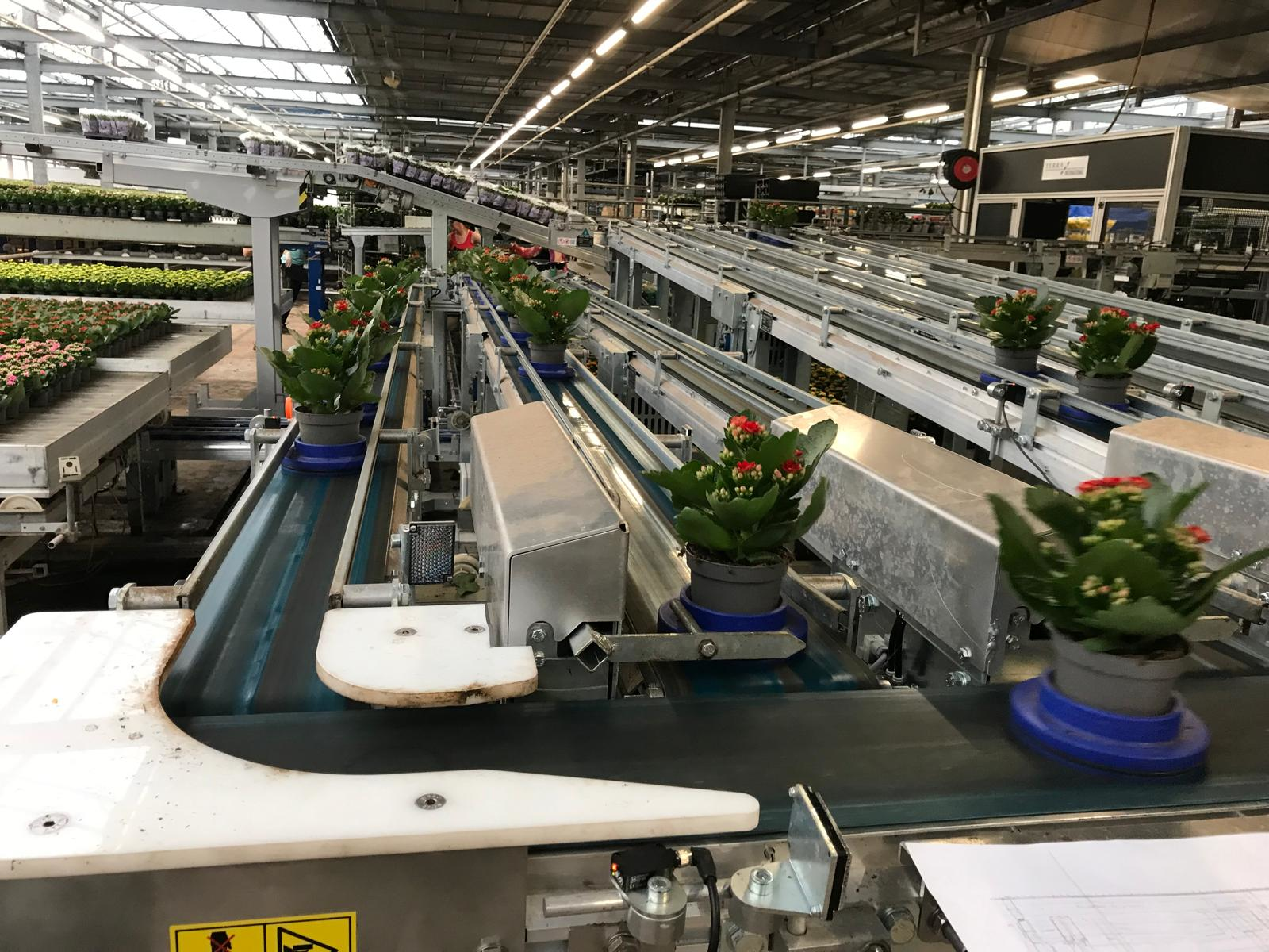 Repeatable improvement routines